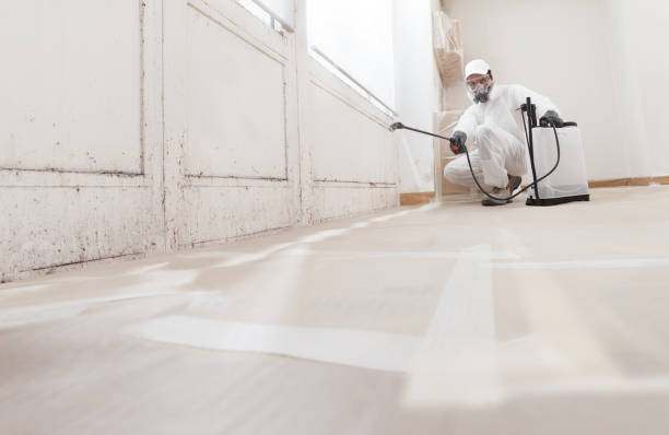 24/7 Emergency Basement Mold Remediation experts in Marbury, MD